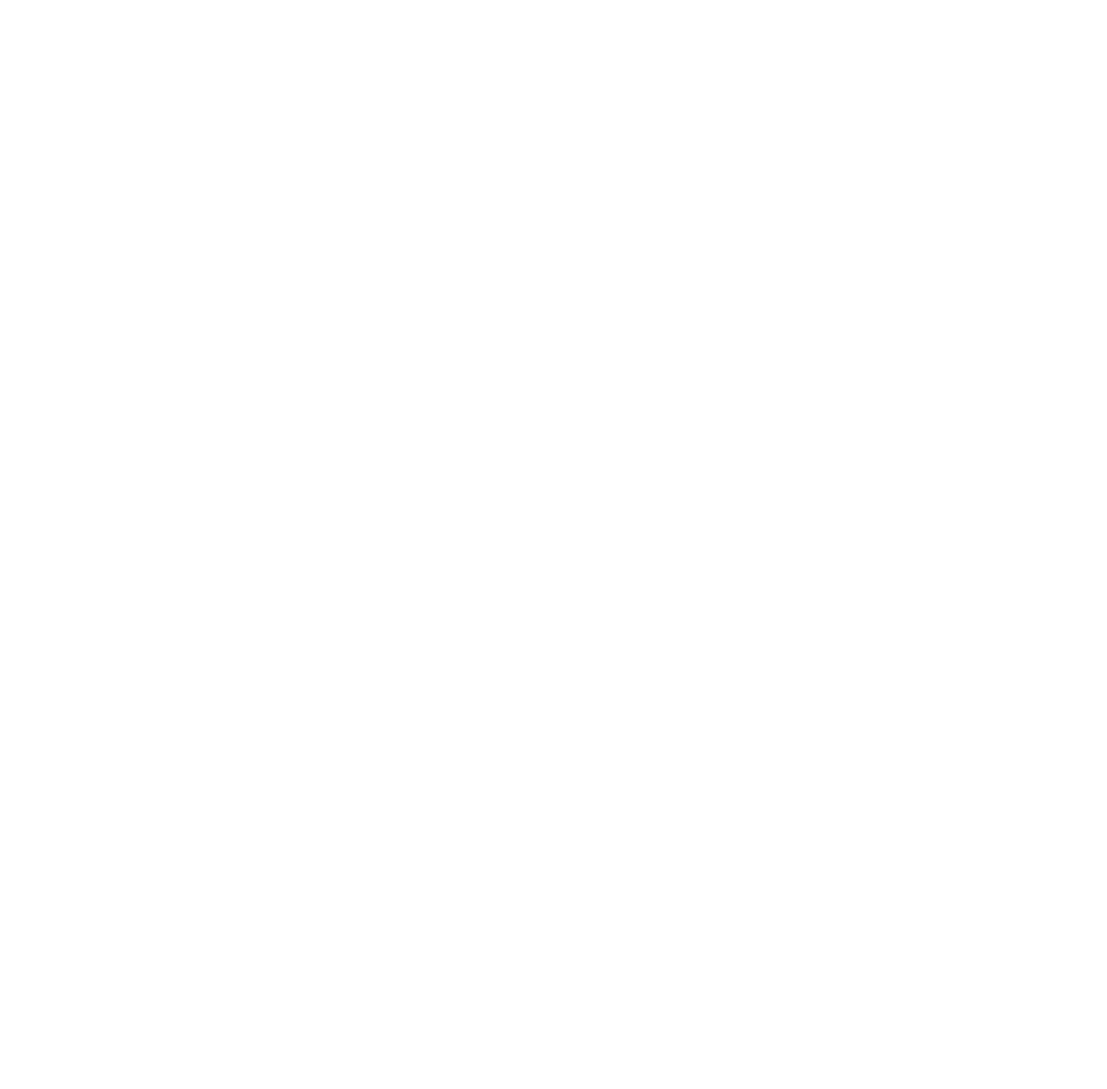 Kraken Logo White